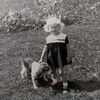 cjterry1964